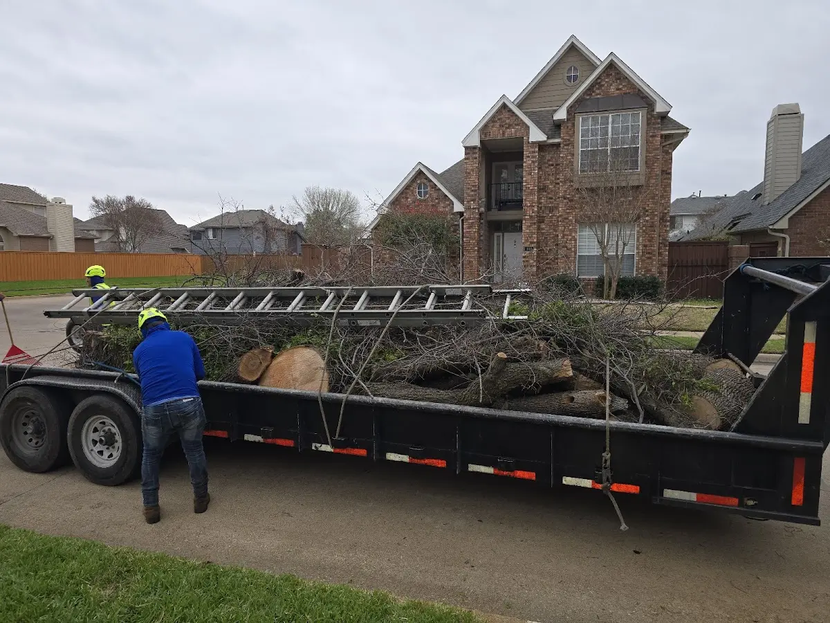 Expert Lot Clearing with proper safety equipment in Schuyler